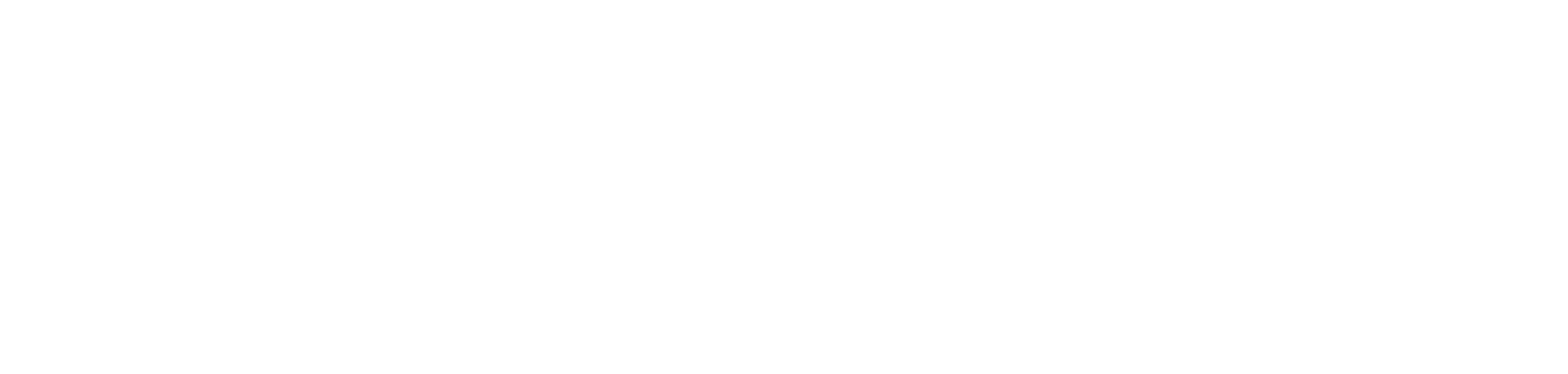 Partner 2 Logo